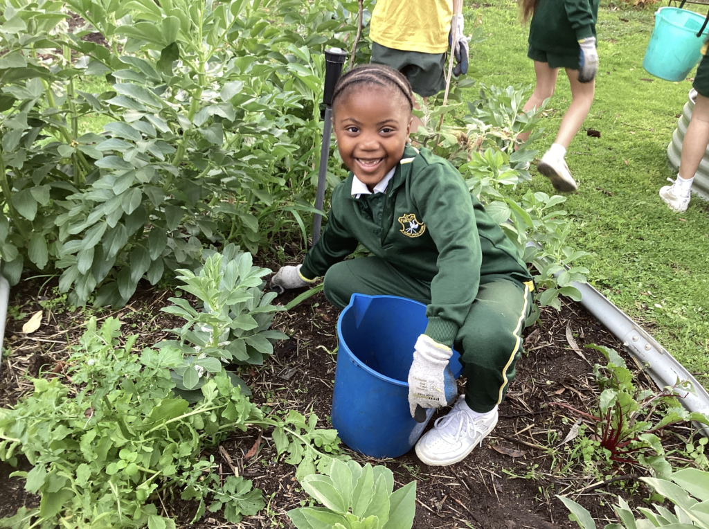 St. Vincent’s Gardening and Chicken Program